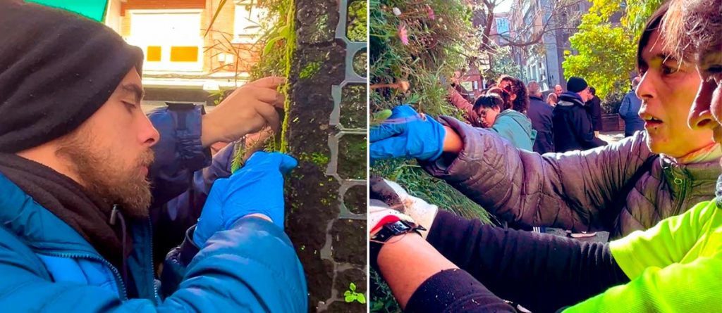 Personas con discapacidad intelectual en Sembrando Oportunidades