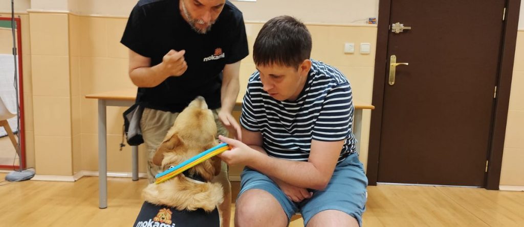 Día Mundial del Perro: el impacto de estos animales en el bienestar de personas con discapacidad